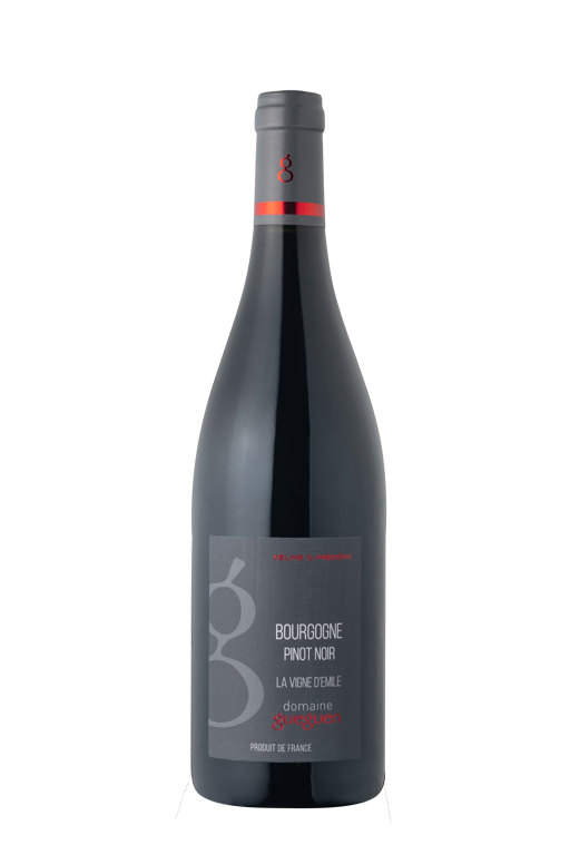 BOURGOGNE PINOT NOIR